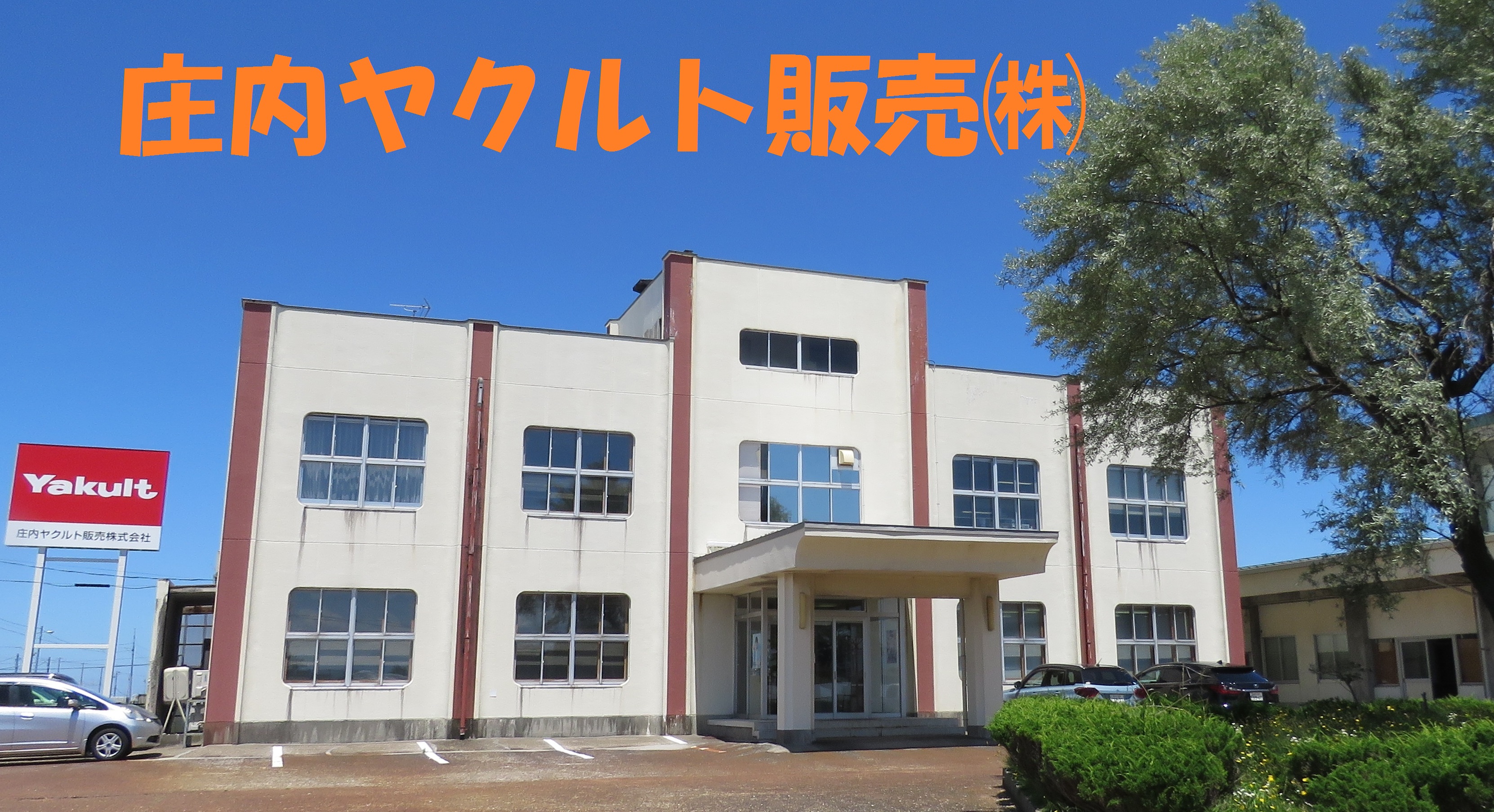 ようこそ庄内ヤクルトへ